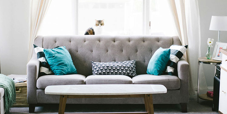 sauder-body-image Couch in Living Room